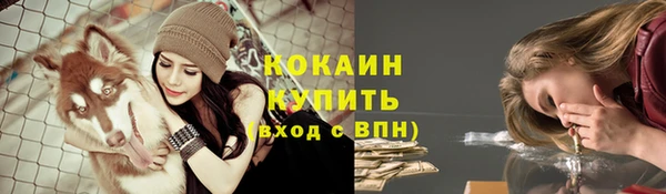 каннабис Аркадак
