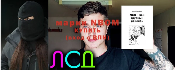 молекула духа Богородск