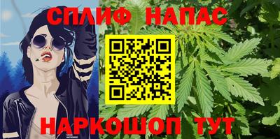 Альфа ПВП Новозыбков