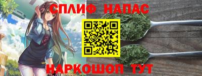 Альфа ПВП Новозыбков