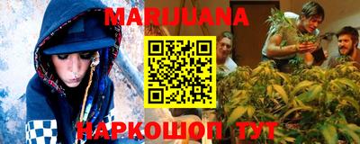 сатива Новодвинск