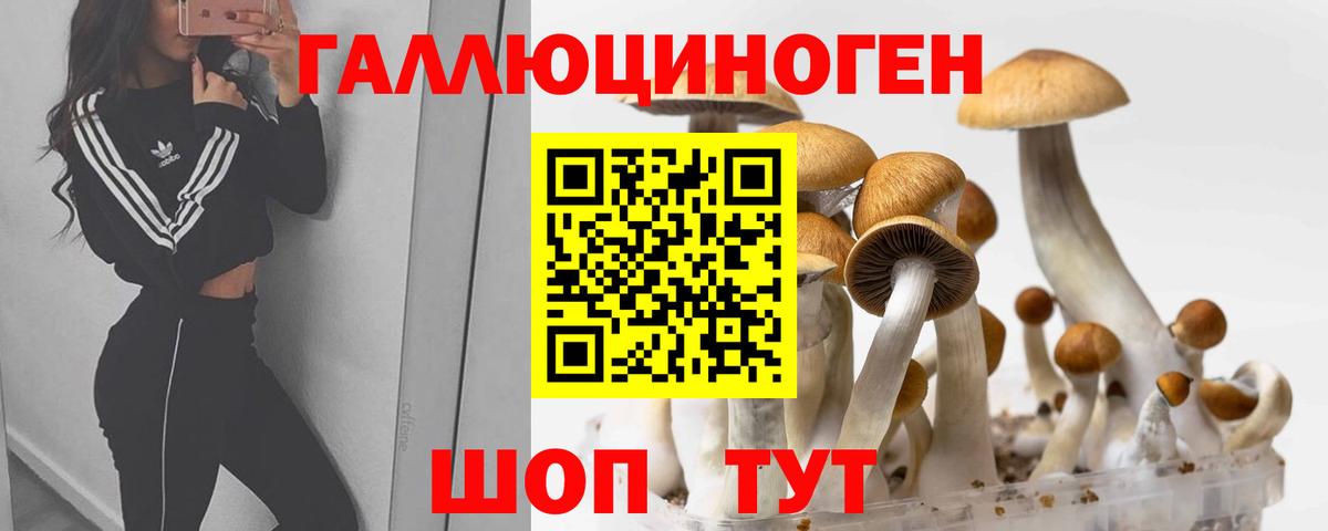 Псилоцибиновые грибы GOLDEN TEACHER Спасск-Дальний